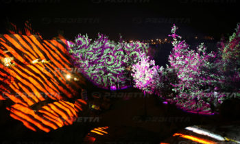 Projection on trees
