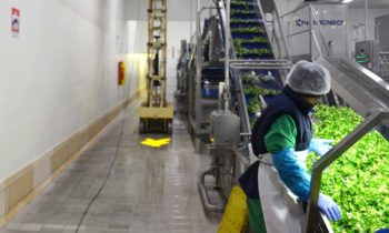 Proiettori per segnali industriali