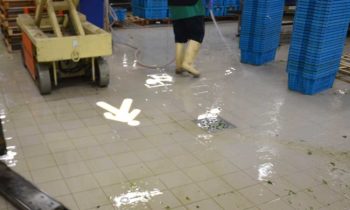 Proiezioni industriali