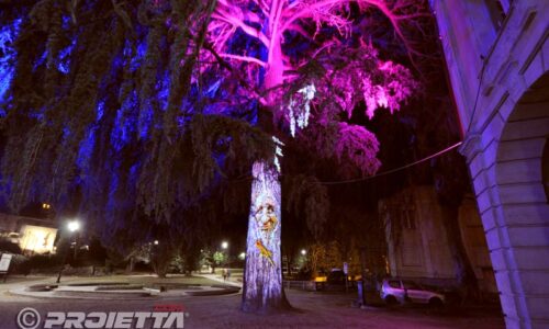 Giaveno: Cedro del Libano Parlante