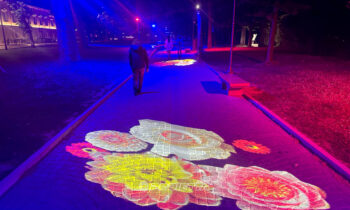 Decorative floor projections
