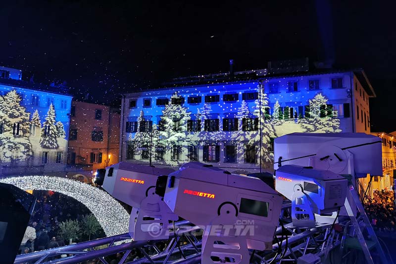 projection of the snowy forest