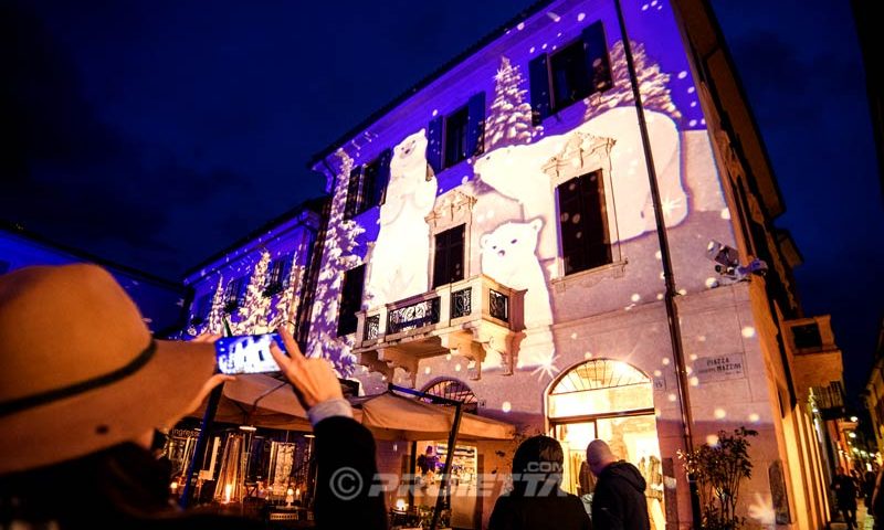 projection of the snowy forest