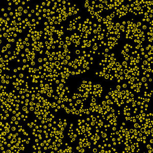 WE-049K + GIALLO