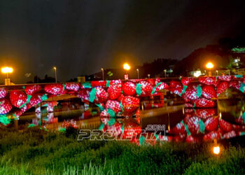 Projection on bridge