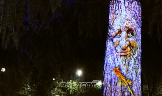 Talking Tree