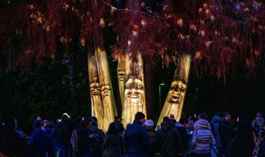 Alberi Cantanti Natalizi a Cernobbio
