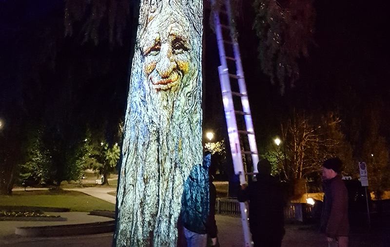 Alberi parlanti assistenza al montaggio