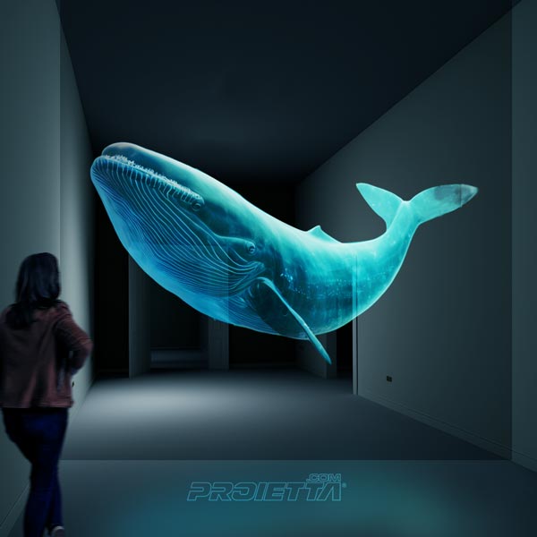 Holographic effects for museum installations